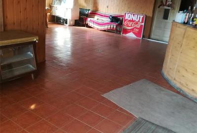 Spațiu comercial, de 150 mp, în Roata de Jos - 10