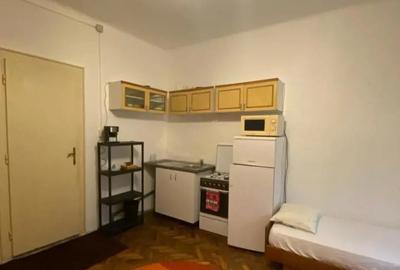 Apartament, 1 camera, parter, zona Balcescu Apartament, 1 camera, parter, zona Balcescu - 3