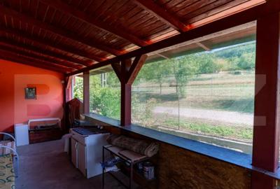 Casă cu 3 camere cu Teren 4000 Mp în Rovina (Brănișca) - 10