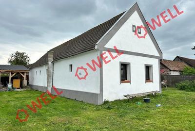 Casă cu 3 camere cu Teren 1494 Mp în Chichiș - 8