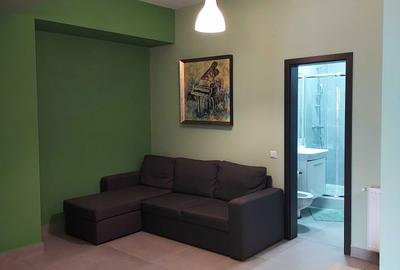 Apartament cu 2 camere semidecomandat în Tudor Vladimirescu - 3