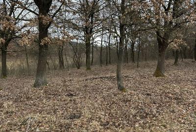 Spațiu comercial, în Nimigea - 4