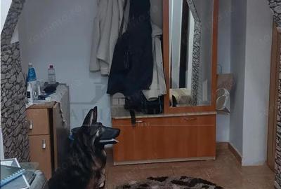 Apartament cu 2 camere decomandat în Tomești - 1