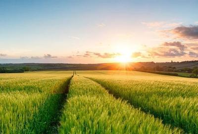Teren agricol extravilan de 29100 mp, în Puiești - 1