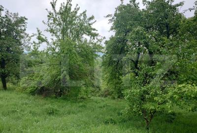 Teren intravilan Cucuteni - 3