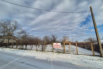 Teren 2000 mp DN2 Lilieci 25Euro/mp langa Bucuresti - 4