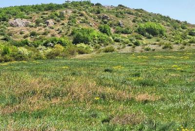 Spațiu comercial, în Betfia - 1