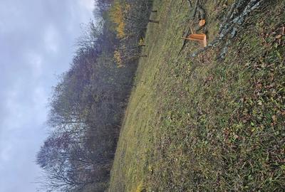 Vand casa si teren - 3