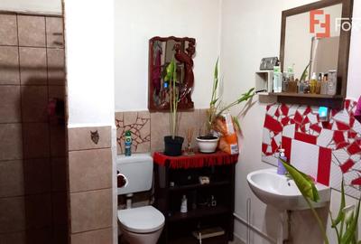 Casă individuală cu 7 camere cu Canalizare în Grabaț - 13