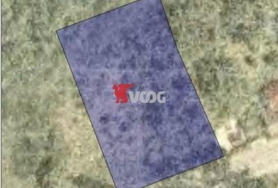 Teren Baile Herculane - 3