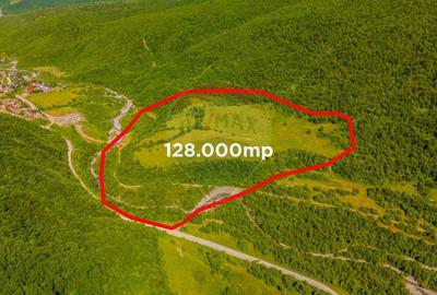 Teren 128.000 mp-Sacele-zona Garcini/ Intravilan - 3