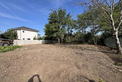 Spațiu comercial, în Tunari - 7