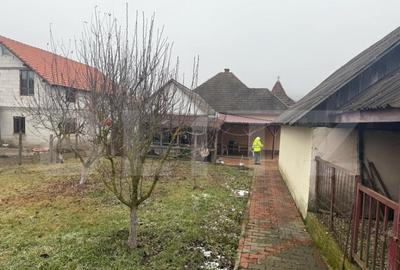 Casa individuala cu 2 camere, 160 mp utili, teren 3800 mp, B - 18