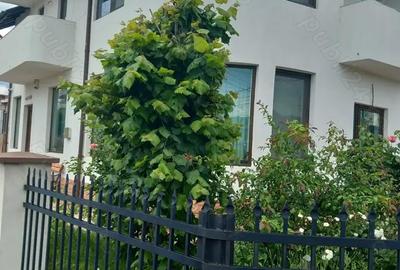 Casă cu 6 camere cu Teren 500 Mp în Vălenii de Munte - 6