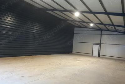 Spațiu comercial, de 400 mp, în Breasta - 6