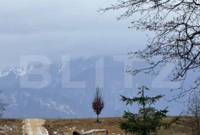 Teren de 80000 mp, în Glăjărie - 1