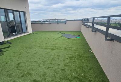 Penthouse , scara interioara , terasa cu vedere superba in Parcul Tineretului - 5