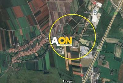 Teren Construcții intravilan de 5800 mp, în Oiejdea - 2