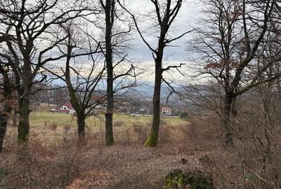 Teren în Șișești - 5