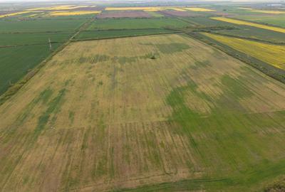 Teren agricol extravilan de 44700 mp, în Exterior Vest - 9