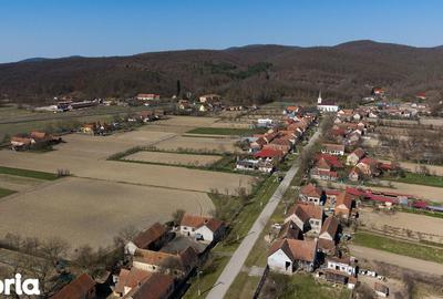 Teren de 2970 mp, în Mașloc - 13