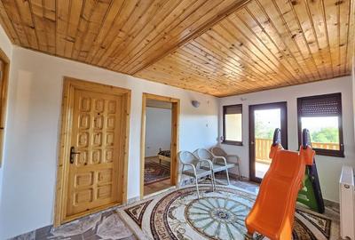 Vila superba de vanzare in Vintila Voda, Buzau D+P+1 si anexe - 27
