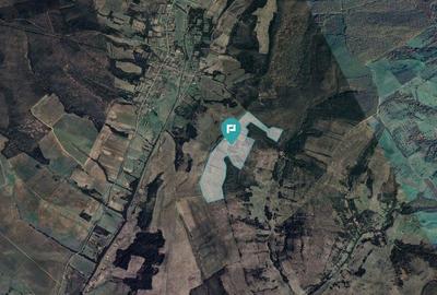 Teren arabil de 40 hectare in Seca?, Timi? - 1