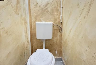 Spațiu comercial, de 306.20001220703 mp, în Brătianu - 6