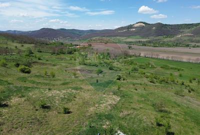 Teren de 659000 mp, în Central - 1