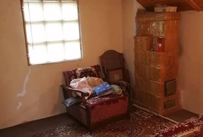 Casa curte (casa de vacanta) - 2