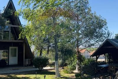 Casă cu 4 camere cu Teren 959 Mp în Lăzăreni - 5