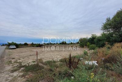 Teren intravilan, 3.063 mp, str.Merilor, zona in dezvolta - 5