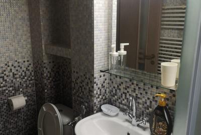 Apartament cu 2 camere decomandat, mobilat în Centru Civic - 4