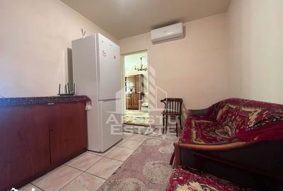 Apartament cu 2 camere în Șega - 4