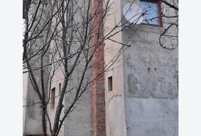 Casa si teren intravilan Aroneanu 4000 mp - 3