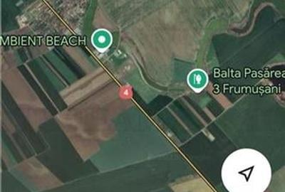 Teren intravilan 28.400 mp - Oportunitate rara in Vasilati, Calarasi! - 3