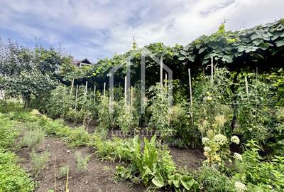 Teren Construcții intravilan de 505 mp, în Central - 5