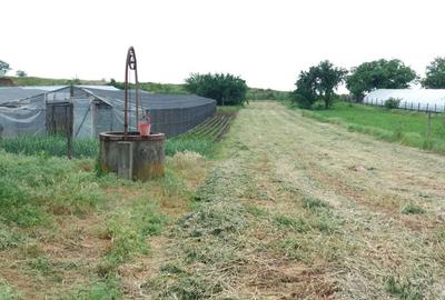 Casă cu 4 camere în Poiana Mare - 5