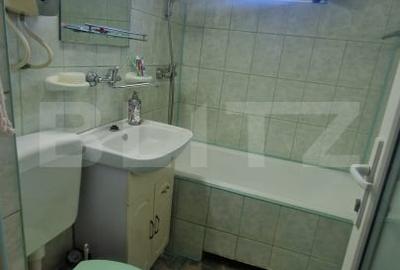 Garsoniera mobilata, etaj intermediar, parcare, beci luminoasa - 13