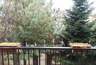 Casă individuală cu 5 camere cu Teren 500 Mp în Brănești - 10