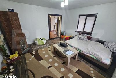 Casă cu 5 camere cu Teren 3566 Mp în Rebrișoara - 1