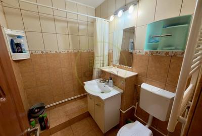 Garsonieră semidecomandată în Lăpuș - 6
