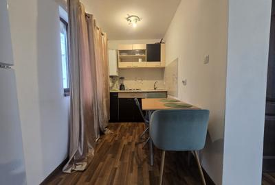 Garsonieră semidecomandată, mobilată în Nicolina - 5