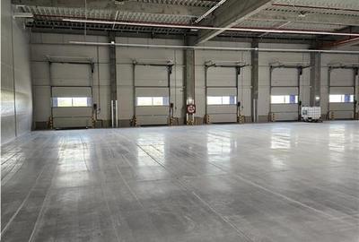 Spatiu Industrial - 1800 mp - Productie - Depozitare - Distributie - 13
