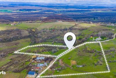 Spațiu comercial, în Valea Orlei - 9