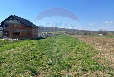 Teren Construcții intravilan de 4486 mp, în Iordăcheanu - 1