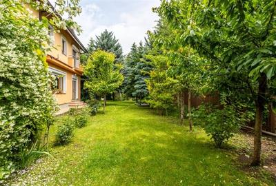 Vila 6 camere, de vanzare, Snagov Vila 6 camere, de vanzare, Snagov - 7