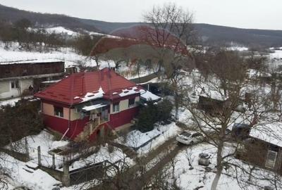 Casă cu 2 camere cu Teren 3245 Mp în Vultureni - 2