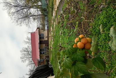 Vand casa la 20 Km de Tulcea - 1