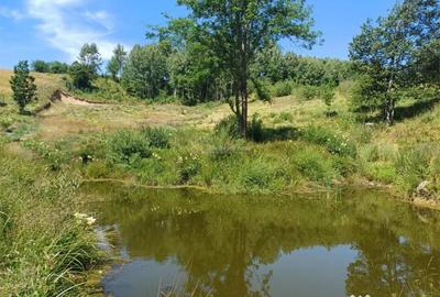 Teren de 4500 mp, în Brebu - 12